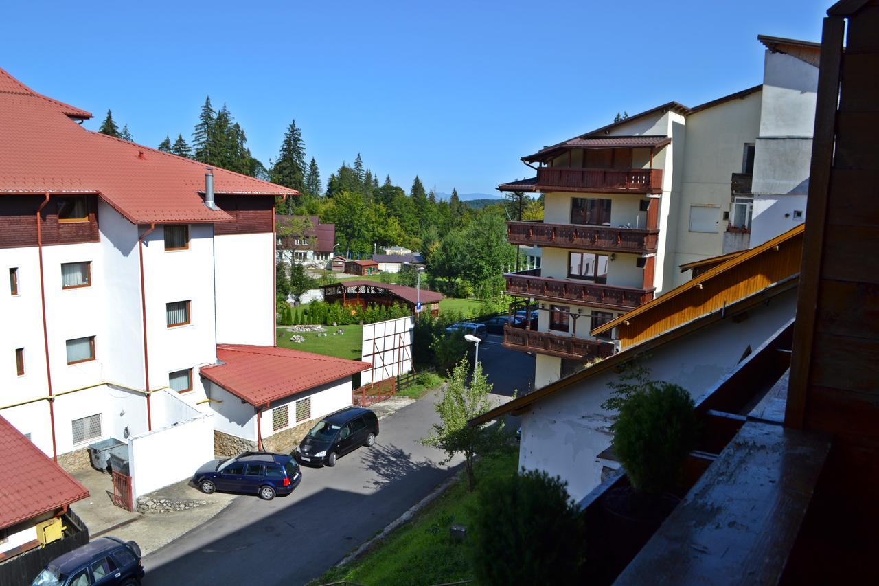 Studio Alex Poiana Brasov Extérieur photo